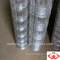 Holland wire mesh(factory)